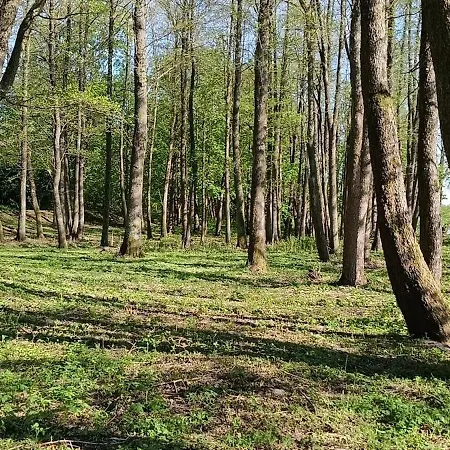 Miejski Appartamento *