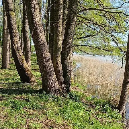 Miejski Appartamento Mrągowo